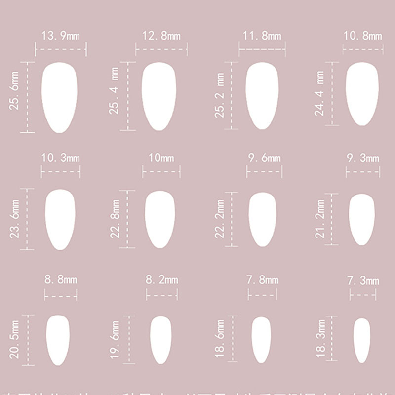 Luxury Maillard Almond Press o - Pressed Flower Art 评论和价格